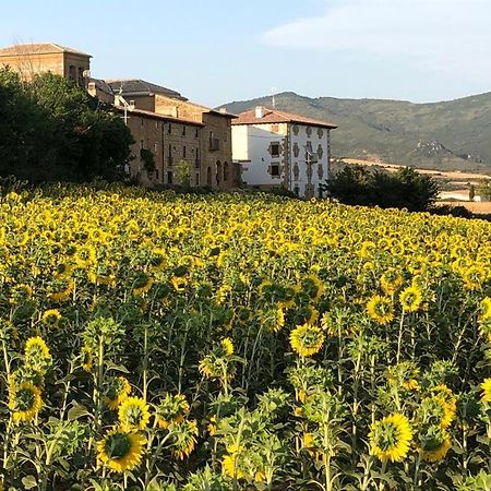 Migueltxoenea Villa Lacar Bagian luar foto