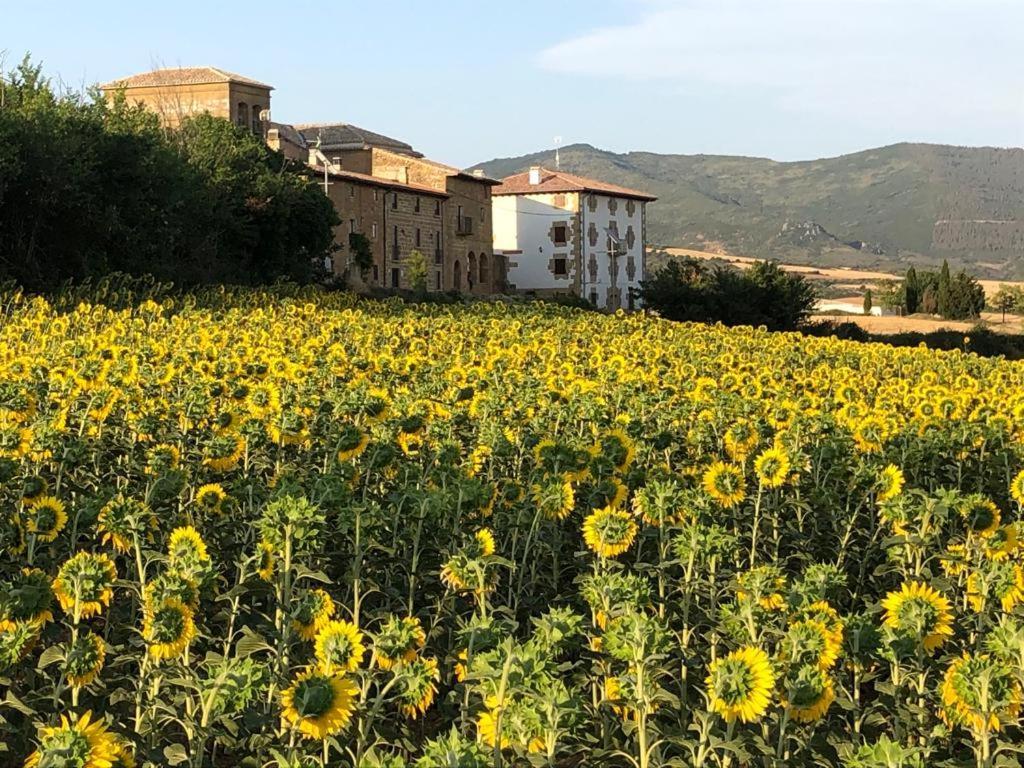 Migueltxoenea Villa Lacar Bagian luar foto